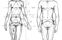 人体绘画技法,从基础到高级的绘画艺术探索
