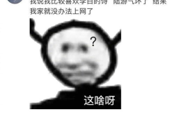 逗人开心的谐音梗,谐音梗大揭秘！”