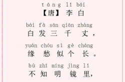 十五天打一字谜底是什么,智慧之光闪耀谜界