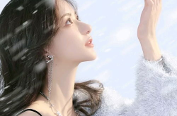 高清壁纸全面屏手机美女