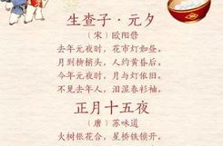 元宵节诗句经典古诗,经典古诗中的灯月诗情