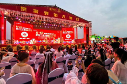 驻马店网红,揭秘中原小城的网络魅力