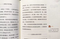 我看网红作文,网红作文背后的时代印记与青春风采