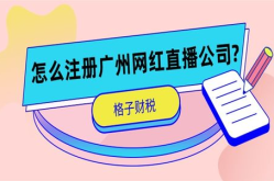 广州网红直播公司的简介,打造新媒体流量新势力