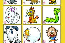 十二生肖谜语,十二生肖谜语大揭秘