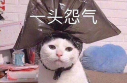 sb搞笑沙雕头像,笑出腹肌的搞笑瞬间